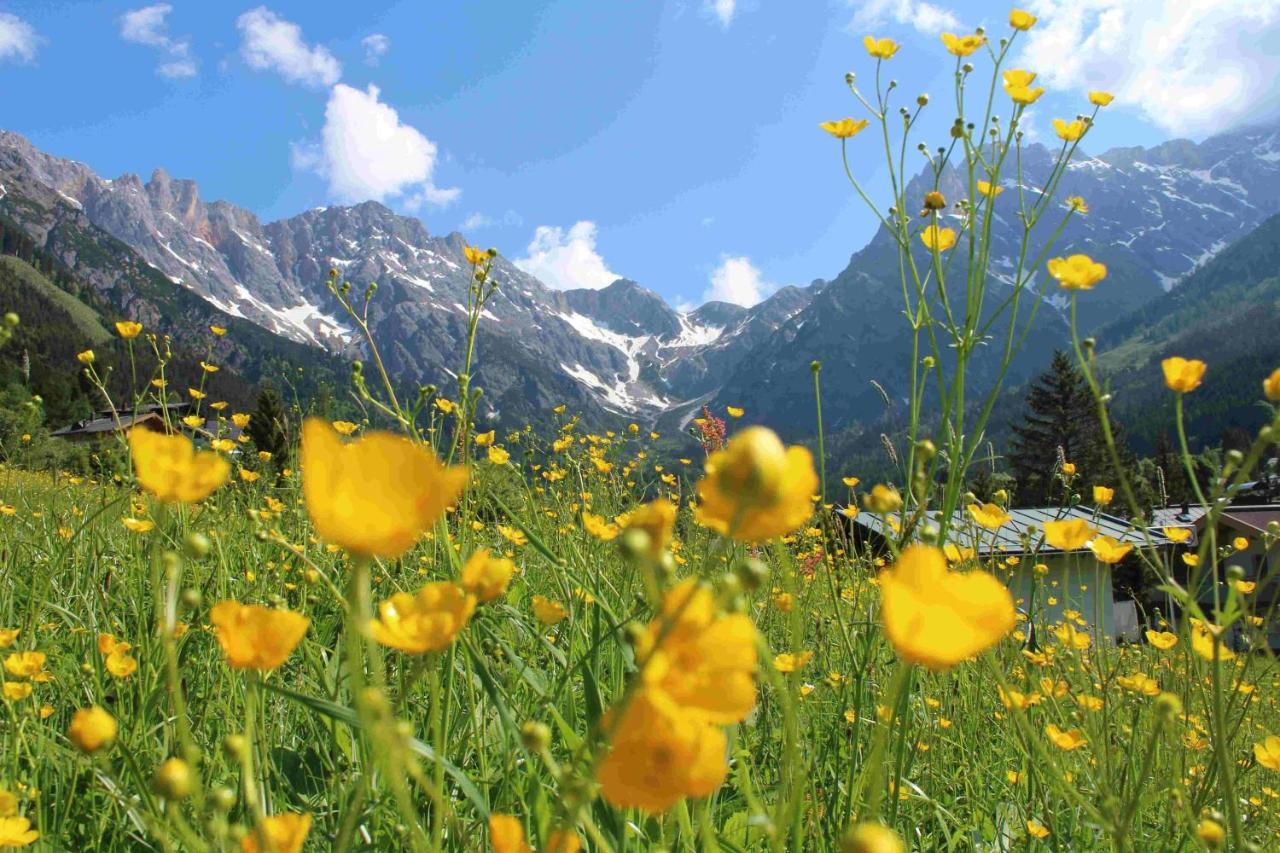 Apart Ursus Hinterthal มาริอาอาล์ม อัม ชไตเนอร์เนินเมียร์ ภายนอก รูปภาพ